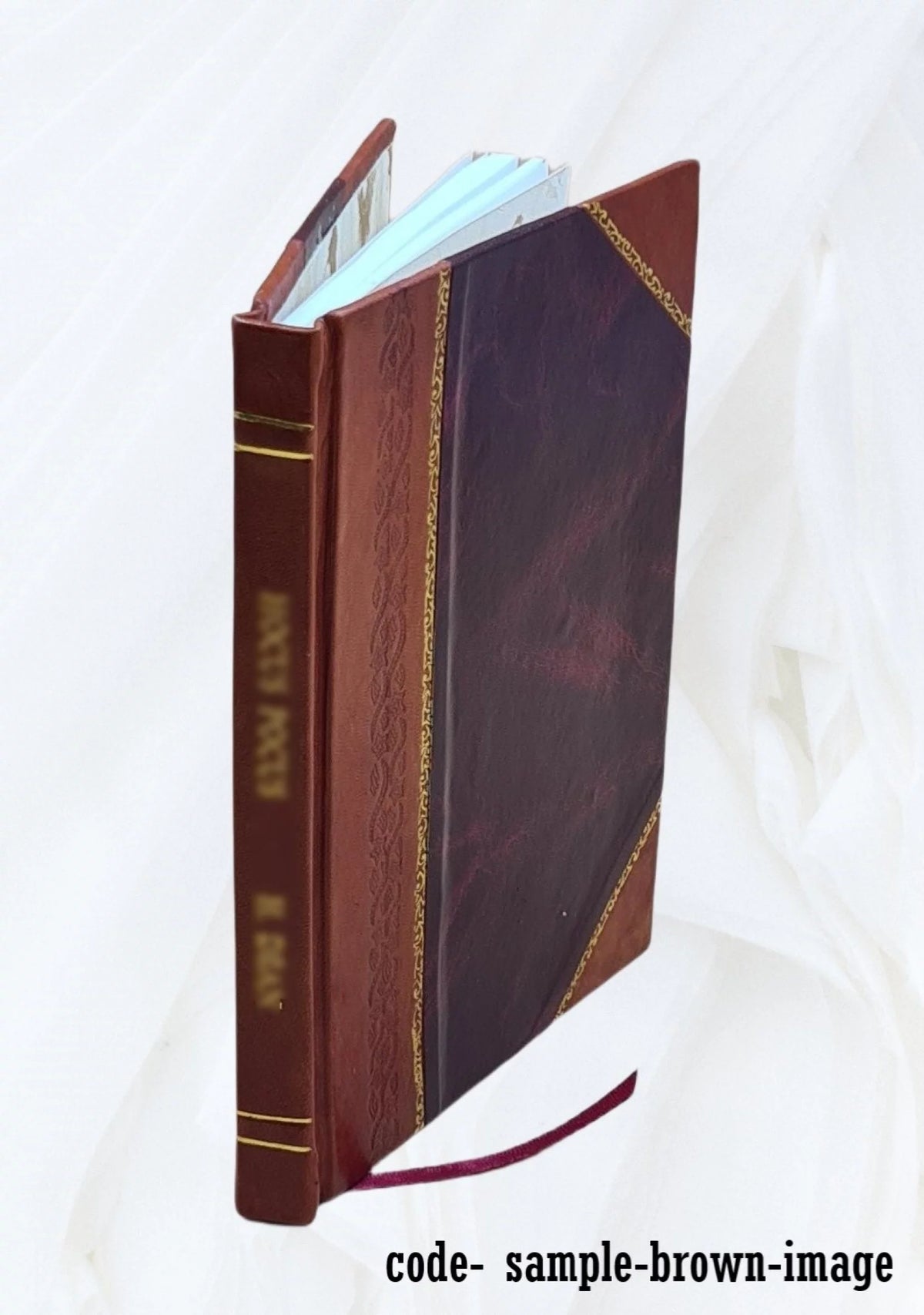 Leather Bound Book L462