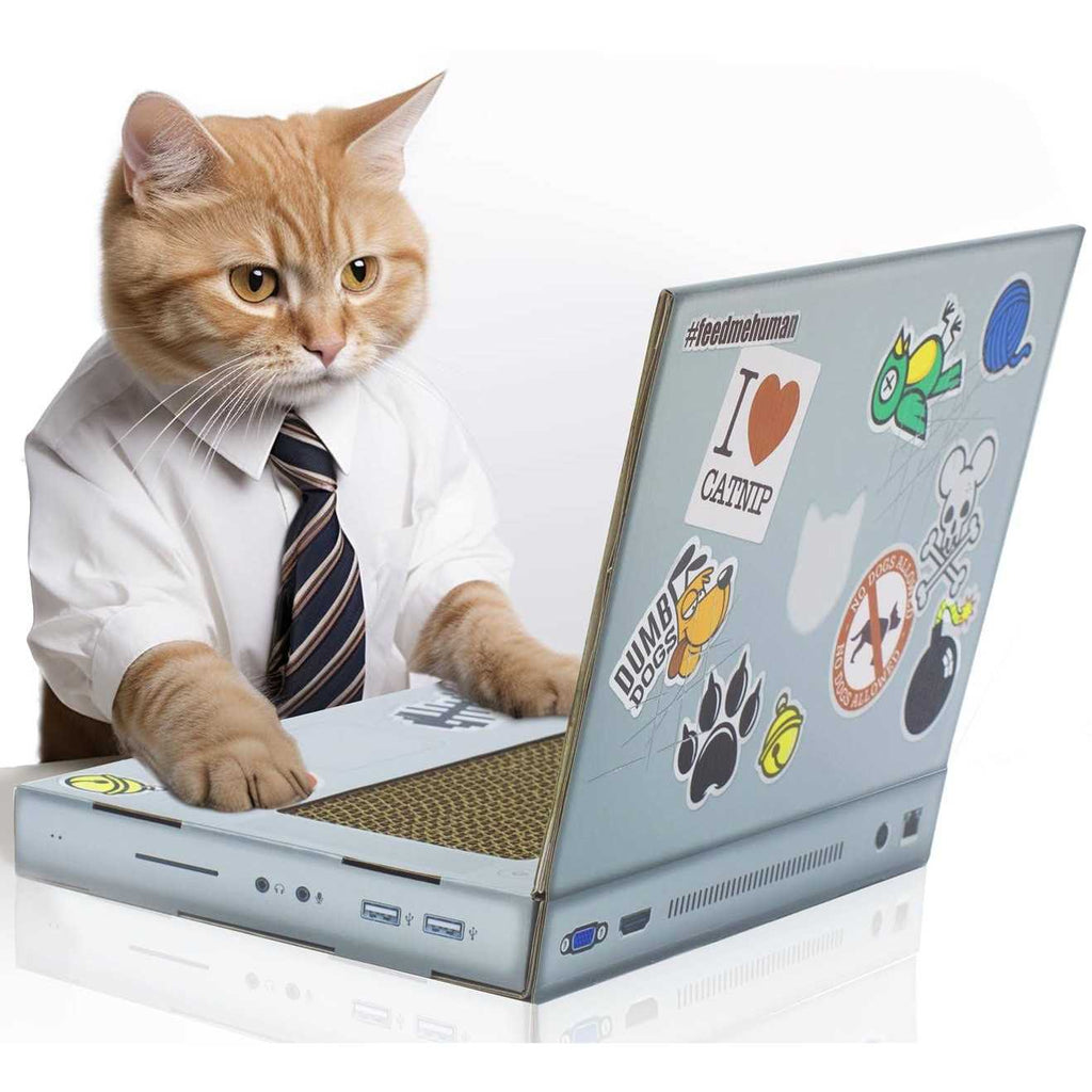 Cat Scratch Laptop Z931538