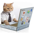 Cat Scratch Laptop Z931538