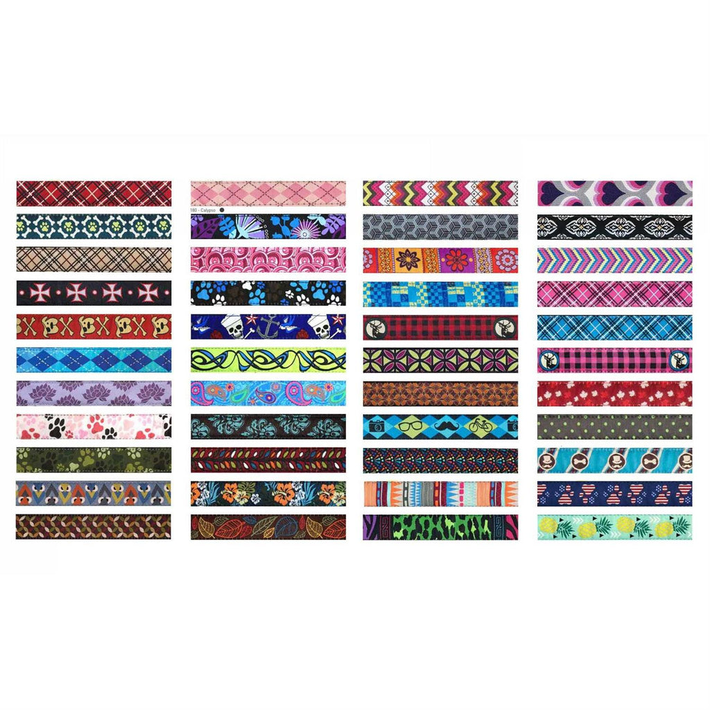 Dog Collar V445