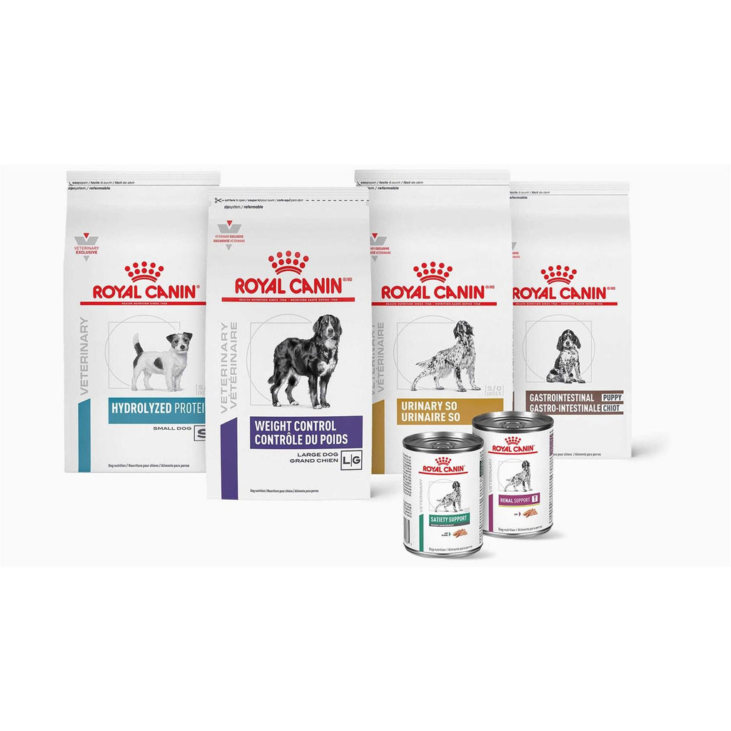 Aging 7+ Dry Dog Food K7696