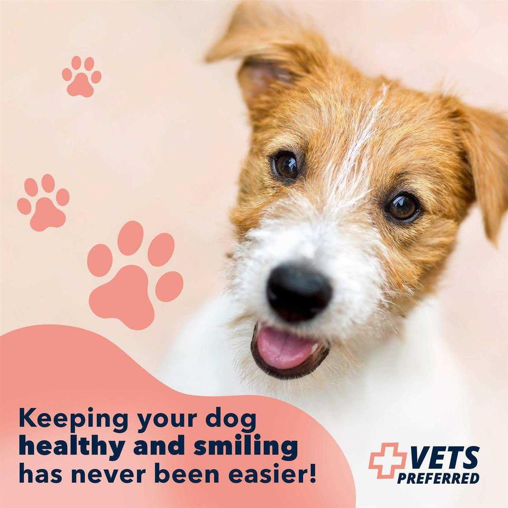 Advanced Oral Care Water Additive for Dogs X1087