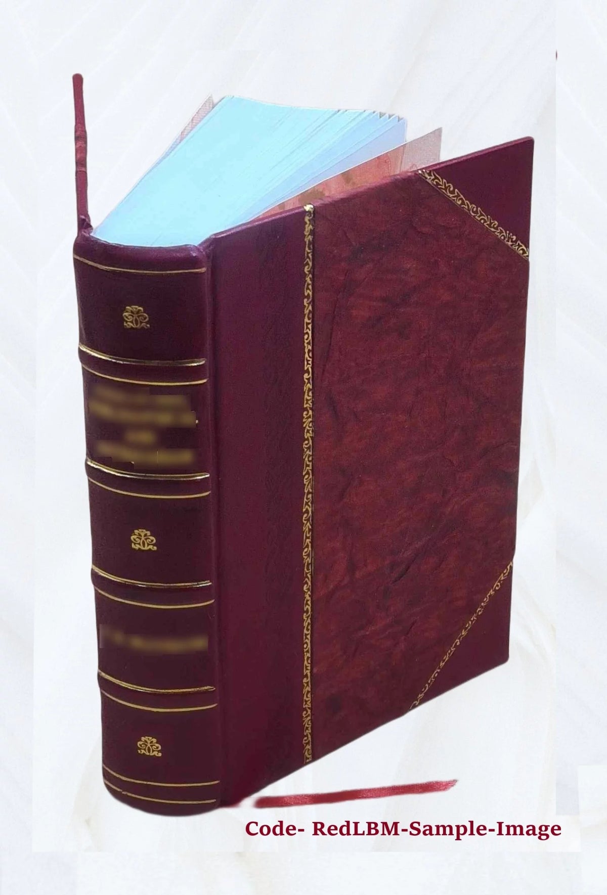 Leather Bound Book V387982