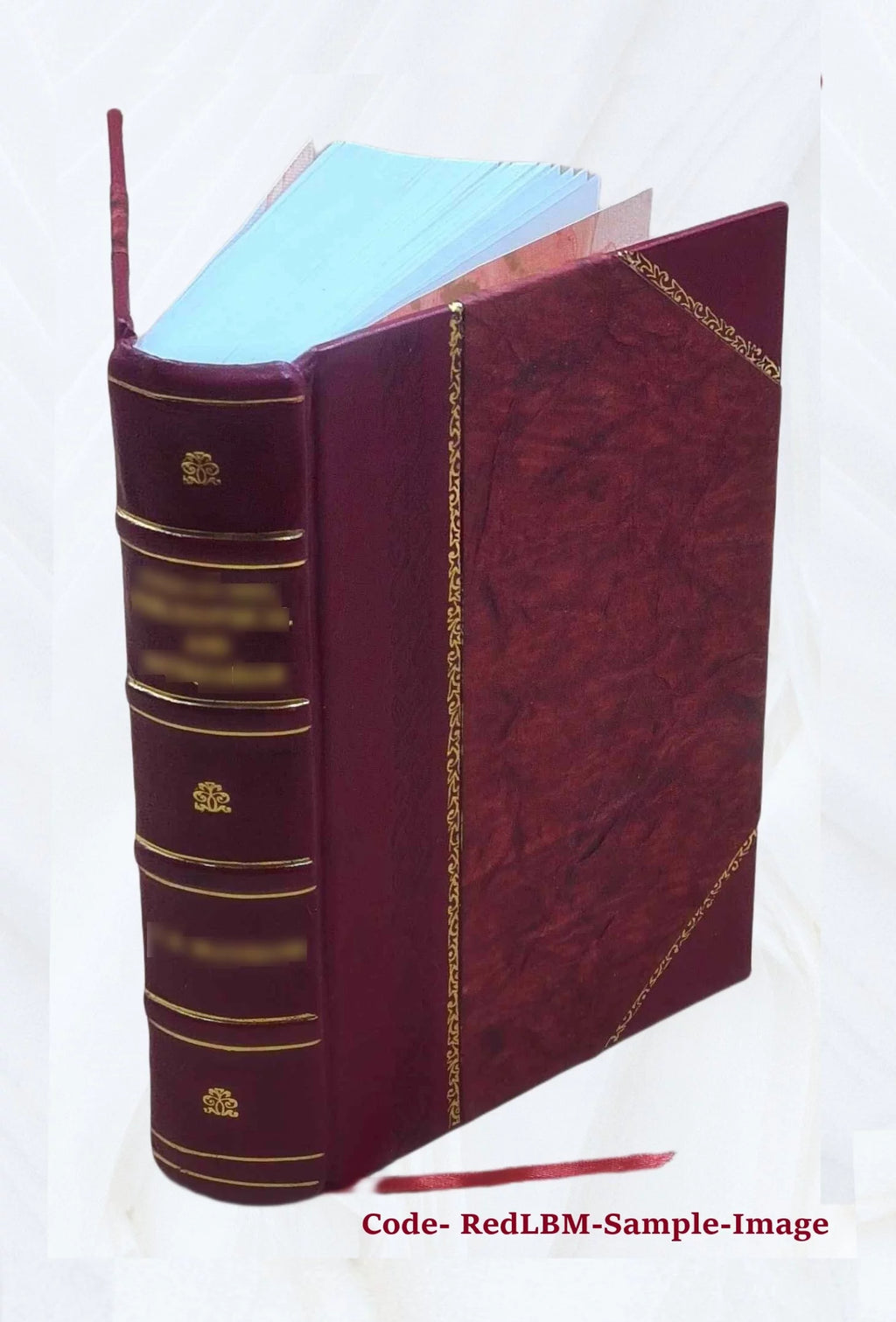 Medieval Italy 305-1313 Historical Narrative X1586