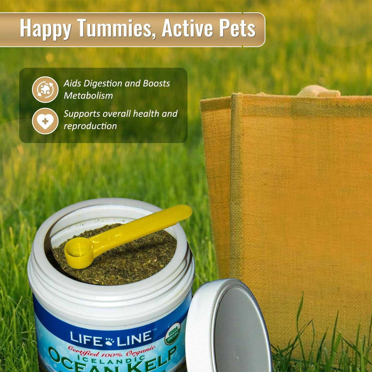 Ocean Kelp Dog & Cat Supplement L2991