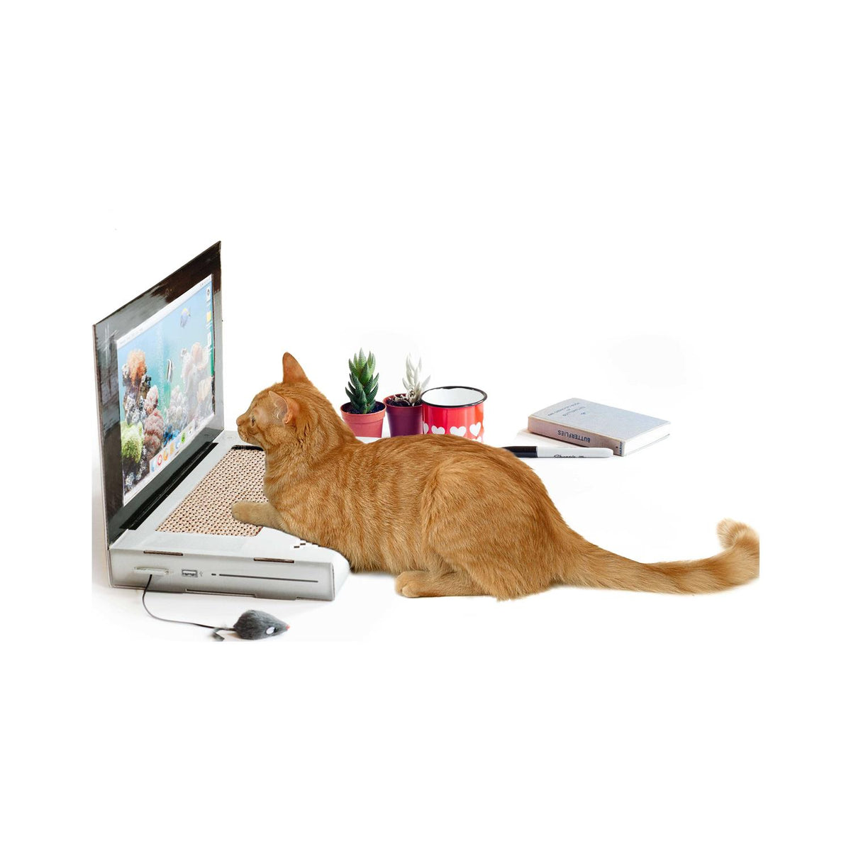 Cat Scratch Laptop Z931538