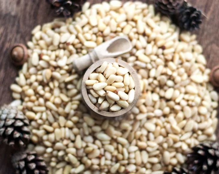 Pine Nuts, 1 Pound E9596