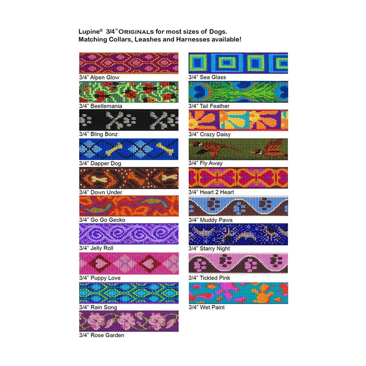 Martingale Collar W907656