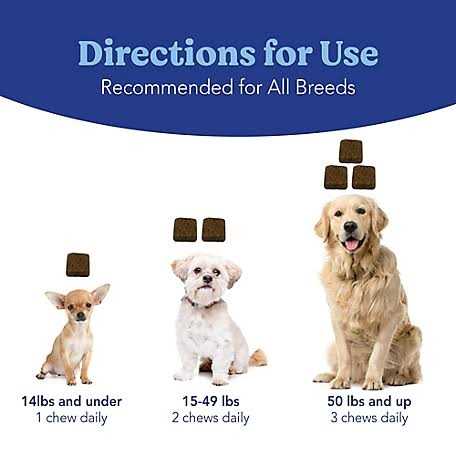 Natural Soft Chews for Dogs P897684