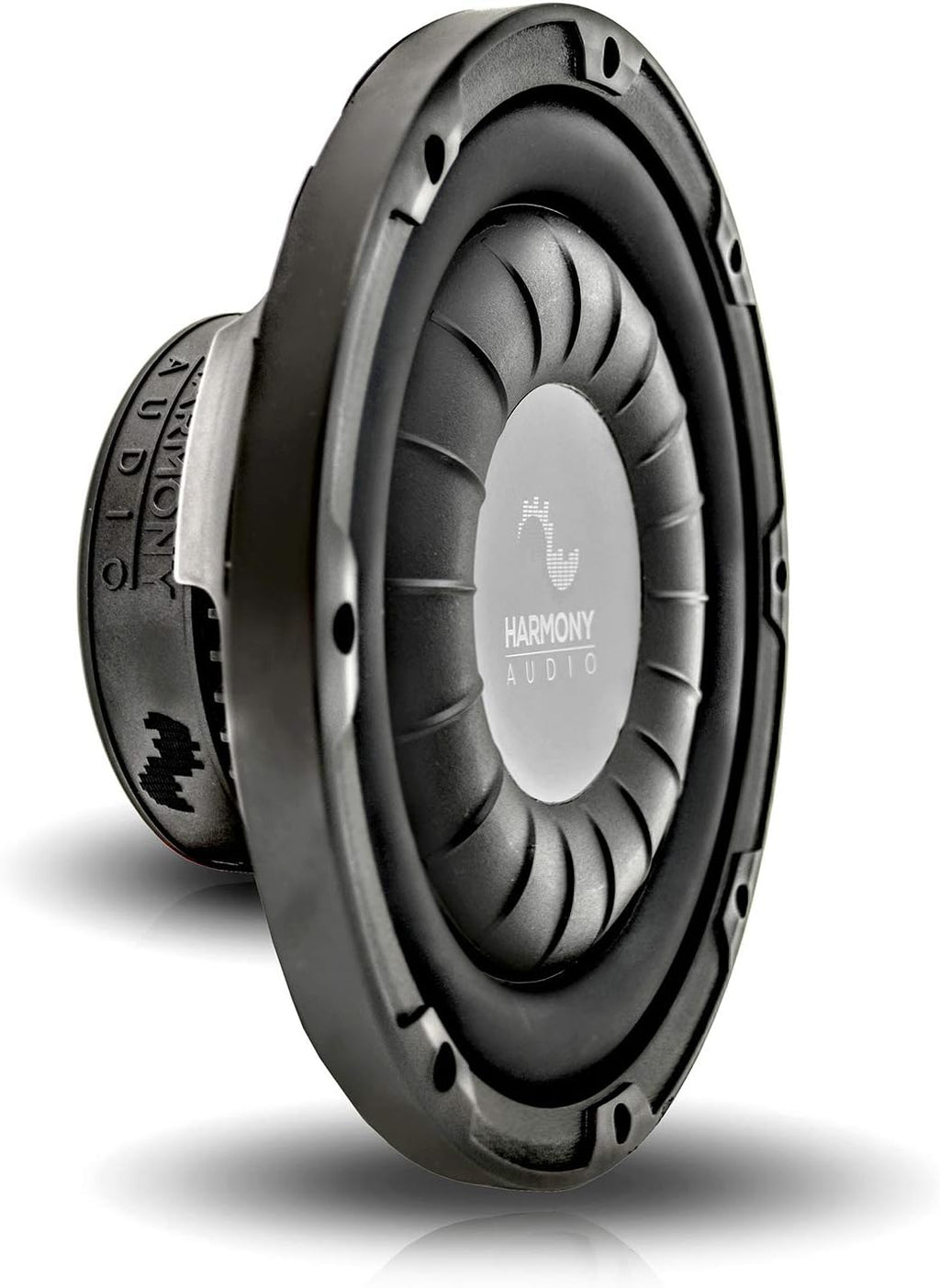 Dual 10 Sub Box Bundle with Amp F53181