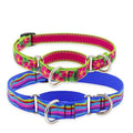 Martingale Collar W907656