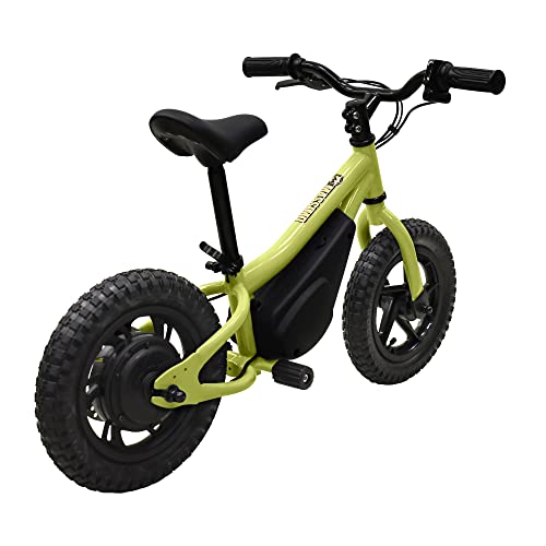 Electric Bike for Kids 150 Watt B8645