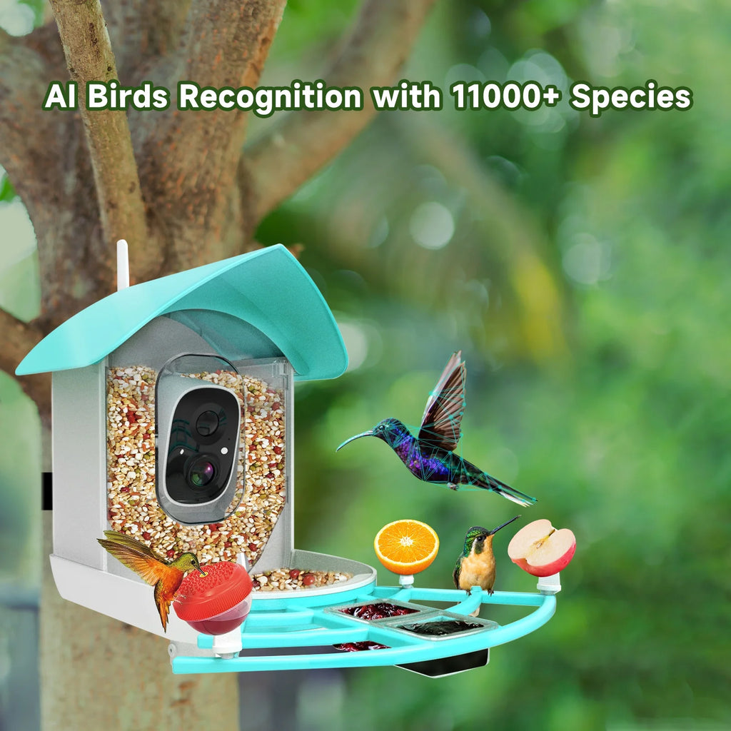 1080P Solar Powered Smart Bird Feeder with Camera D637