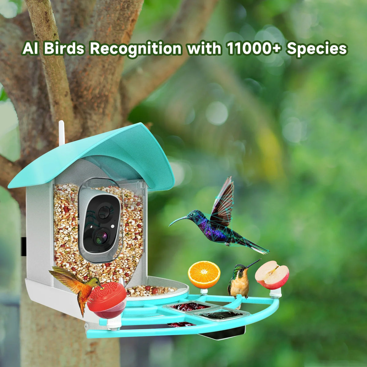 1080P Solar Powered Smart Bird Feeder with Camera D637