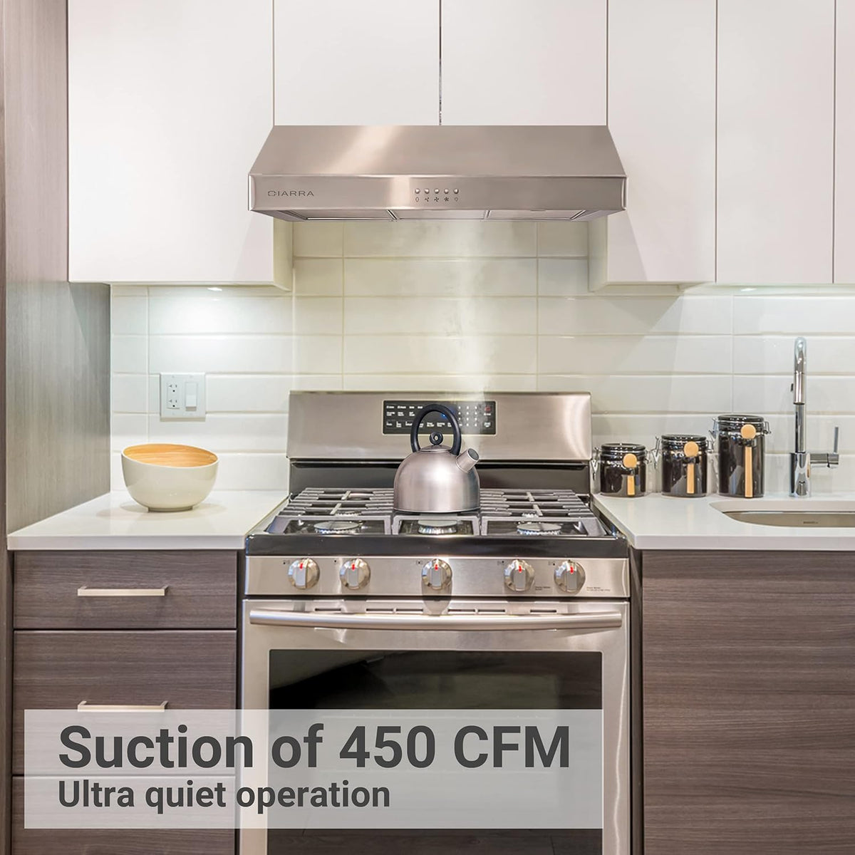 30 inch Stainless Steel Under Cabinet Range Hood X4244