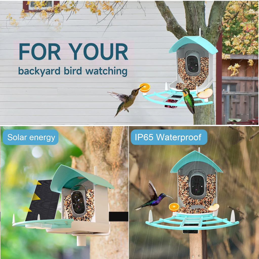 1080P Solar Powered Smart Bird Feeder with Camera D637
