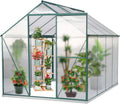 6'x8' Polycarbonate Aluminum Greenhouse with Window W6189