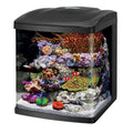 16 Gallon LED Aquarium Fish Tank Kit F8149