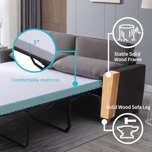 Queen Size Velvet Pull Out Sofa Bed P88129