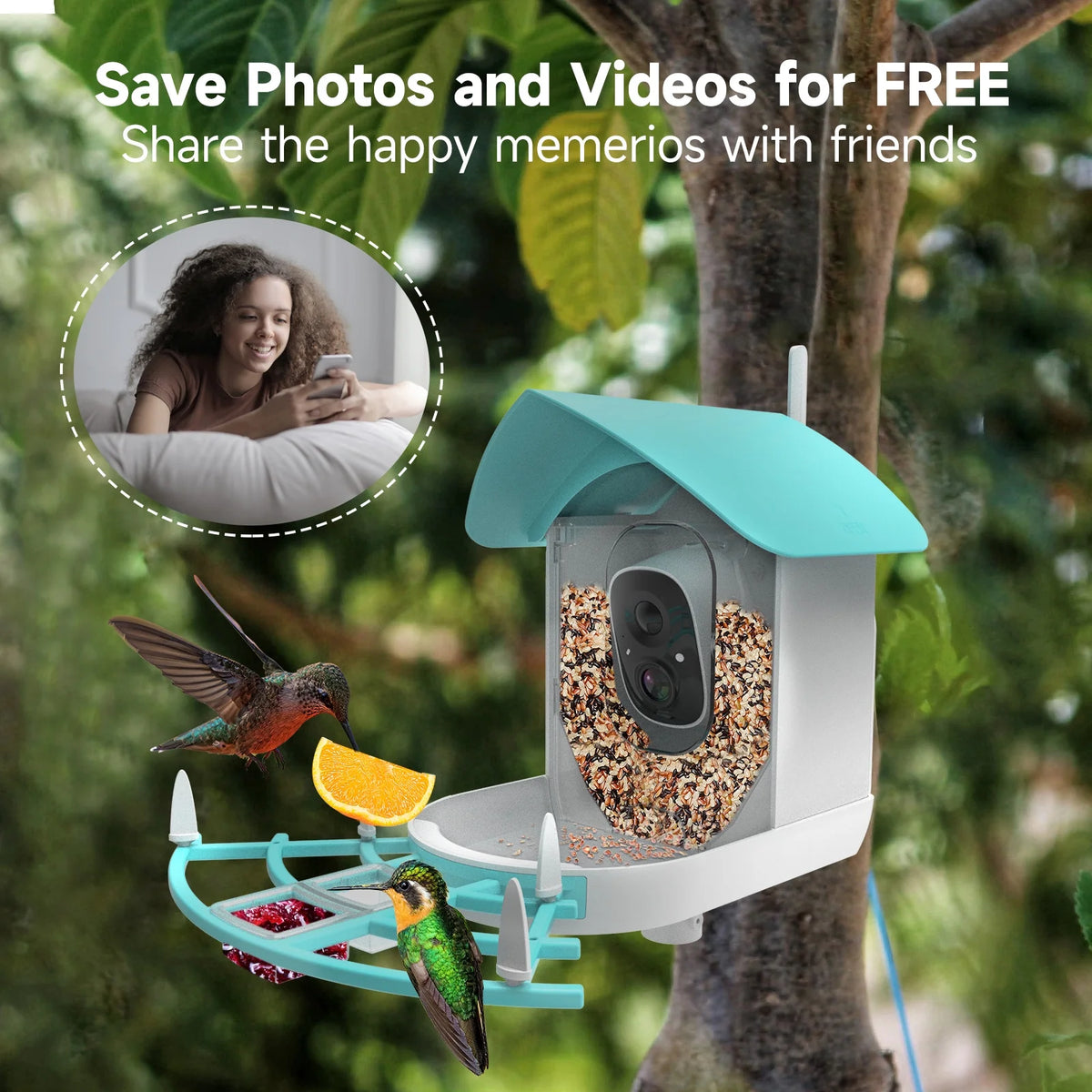 1080P Solar Powered Smart Bird Feeder with Camera D637