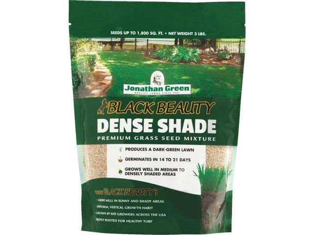 Black Beauty Dense Shade Grass Seed Mixture, 3 lb T693773