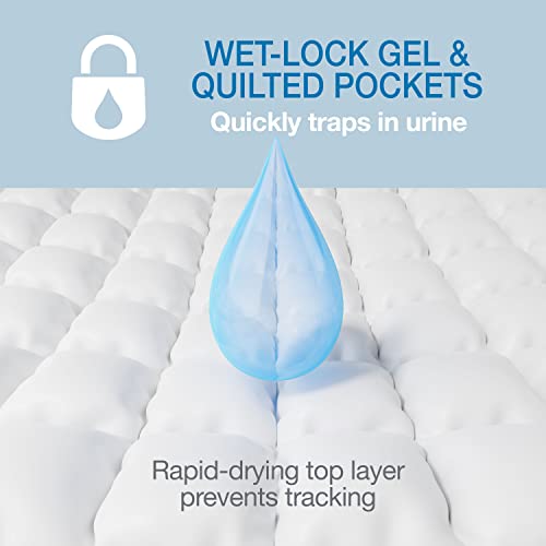 22" x 23" Unscented Quilted Potty Training Pads, 50 Count H3888