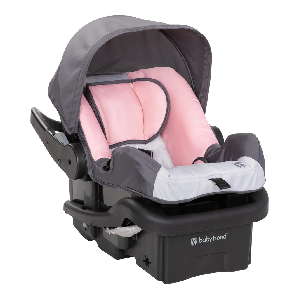 Pink Flamingo Travel System Stroller O83718