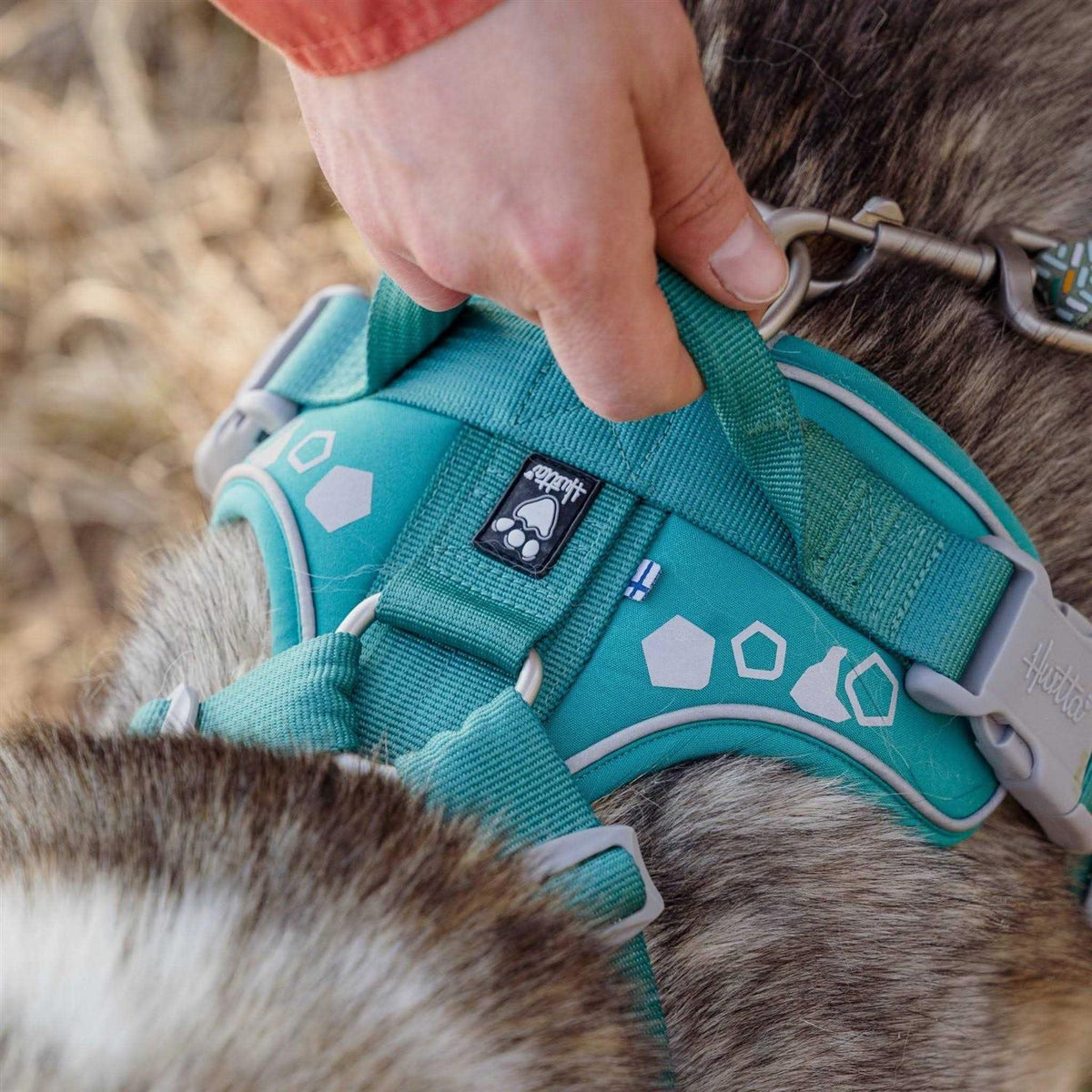 Dog Harness Z787