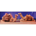 Camel Standee Y722658