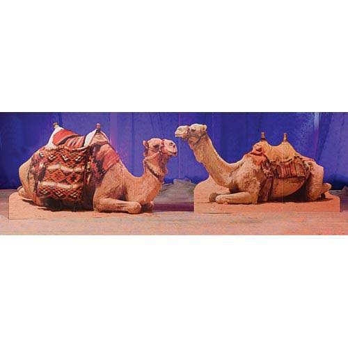 Camel Standee Y722658