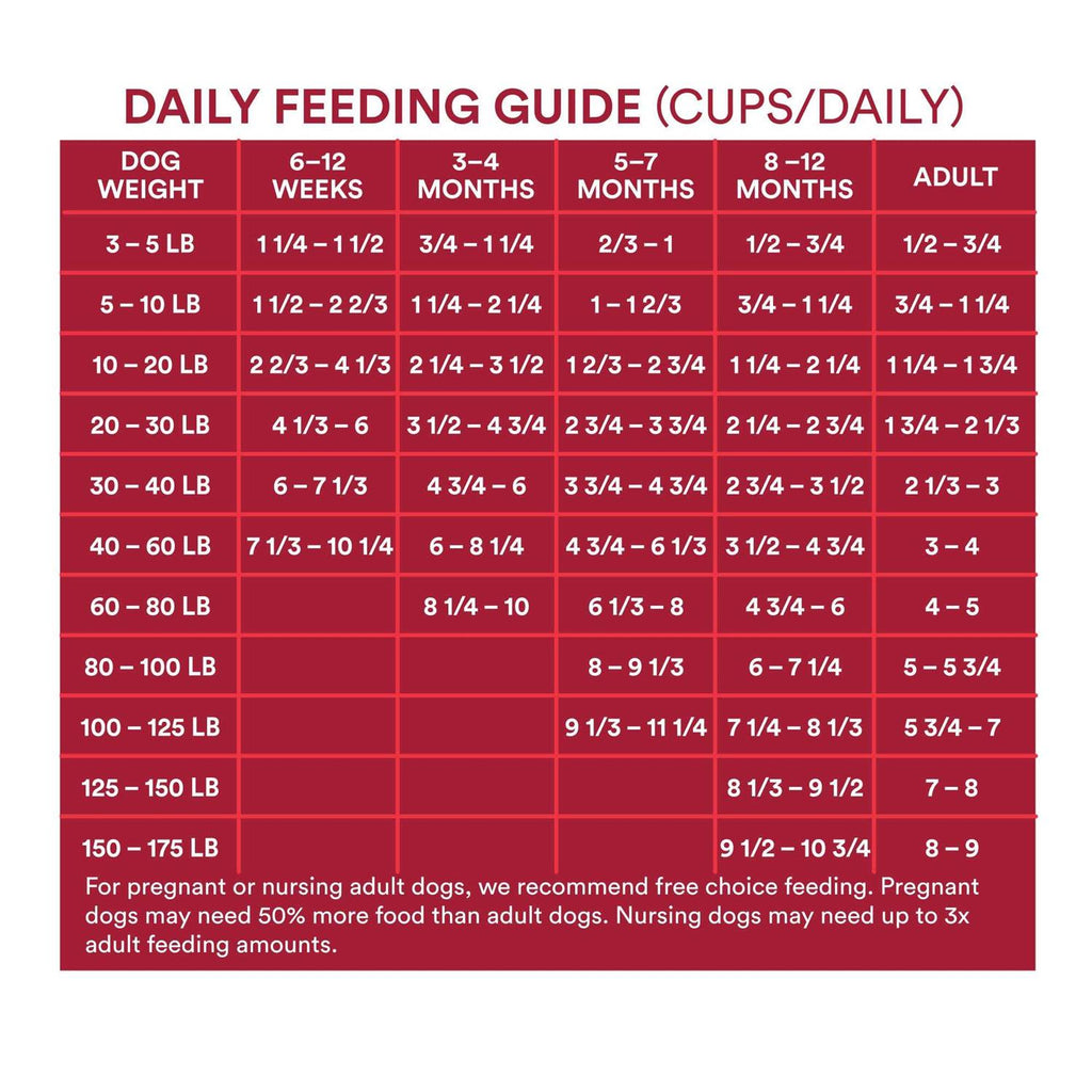 Grain Free Beef & Pea Formula Dry Dog Food J130