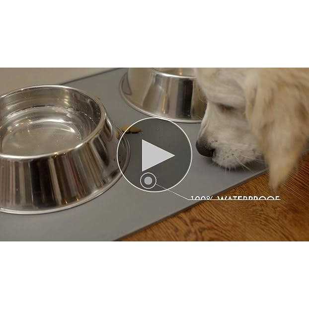 100% Waterproof BPA Free Silicone Pet Feeding Mat C558