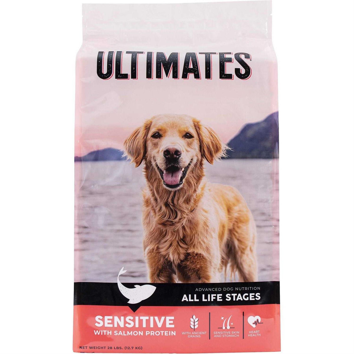 Salmon Protein Dry Dog Food Y372750