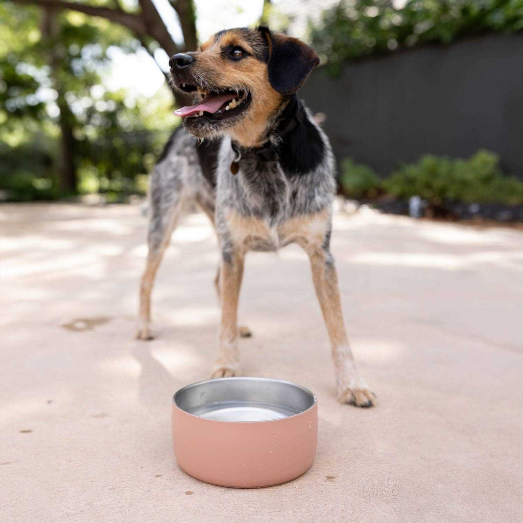 Stainless Steel Pet Water Bowl X737430