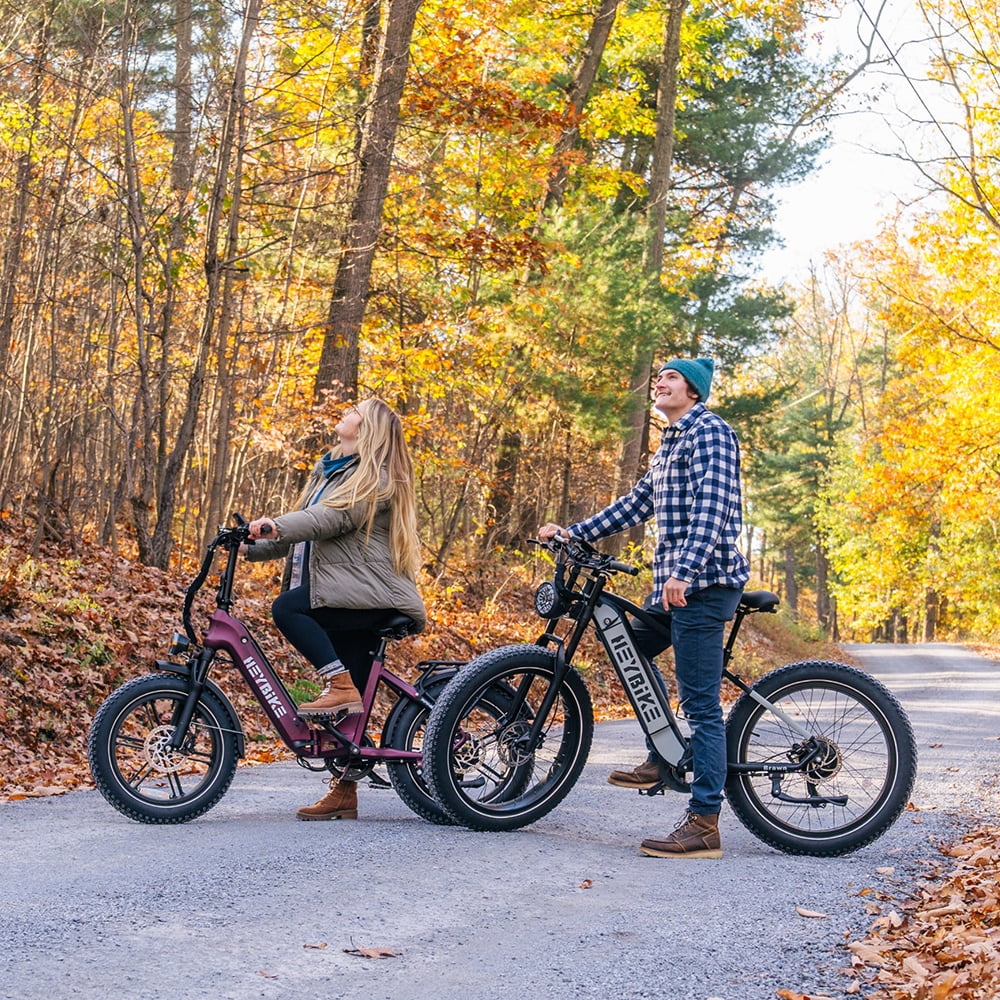 Electric Bike 750W Fat Tire 48V 18Ah Removable Battery 26'' Wheel S31955
