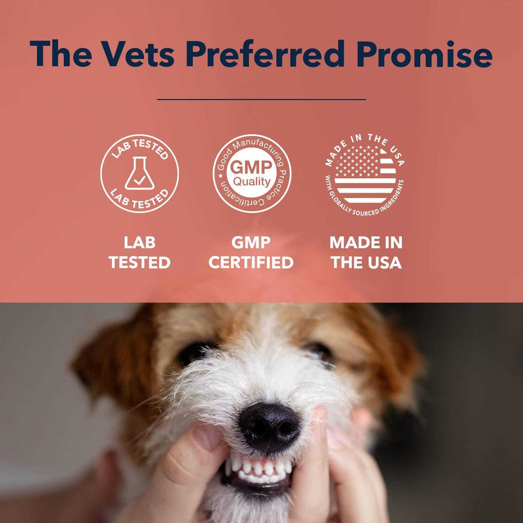 Advanced Oral Care Water Additive for Dogs X1087
