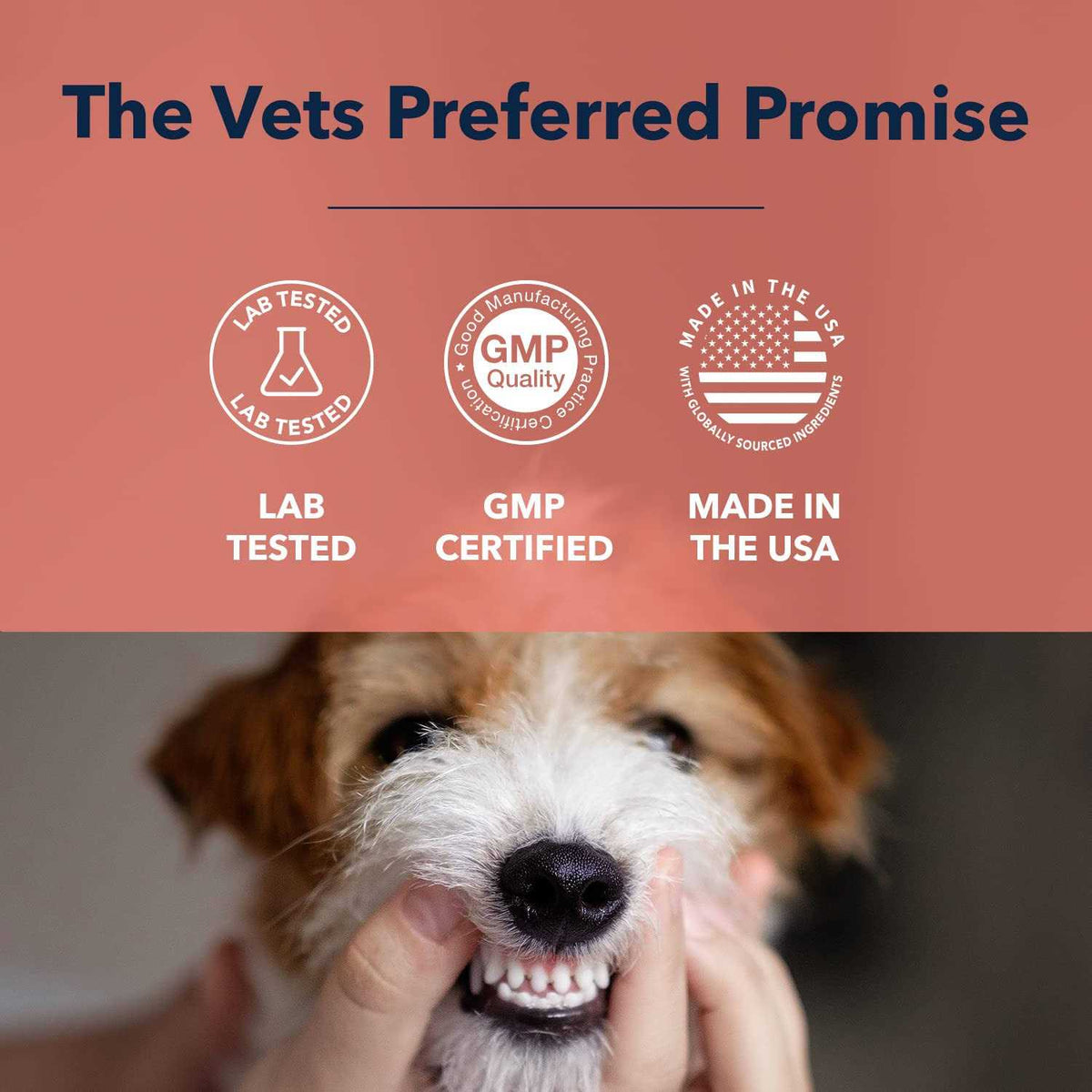 Advanced Oral Care Water Additive for Dogs X1087