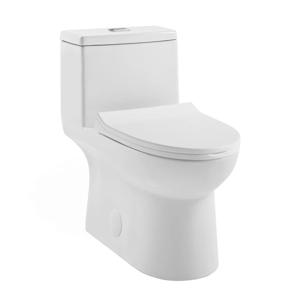 One-Piece Elongated Dual-Flush Toilet R867011