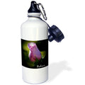 Purple Rose 21 oz Sports Water Bottle J753