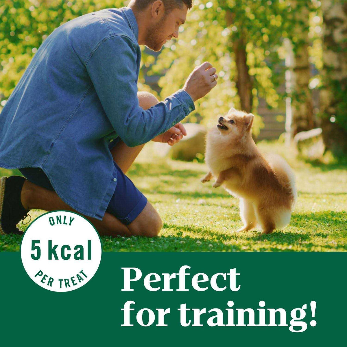 Crunchy Dog Treats J7123