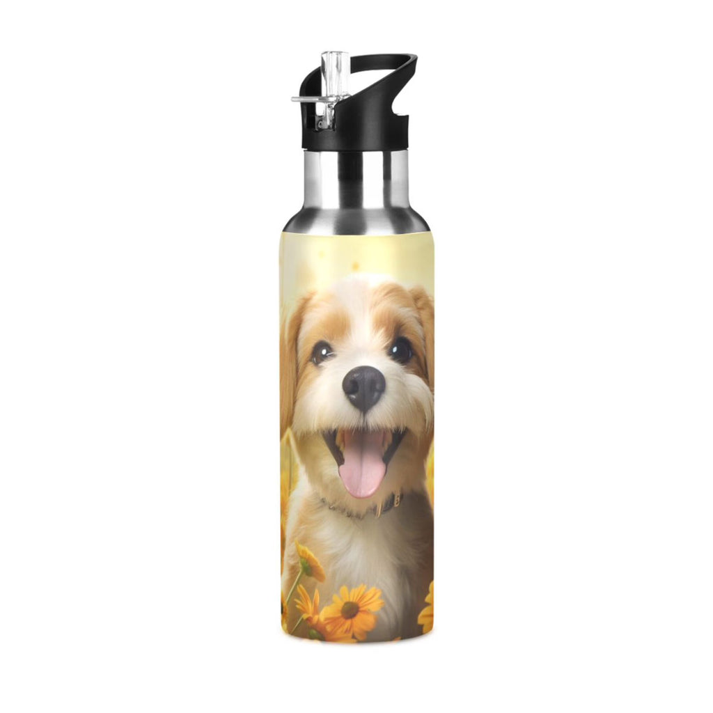 20 oz Insulated Stainless Steel Water Bottle with Straw Lid C684