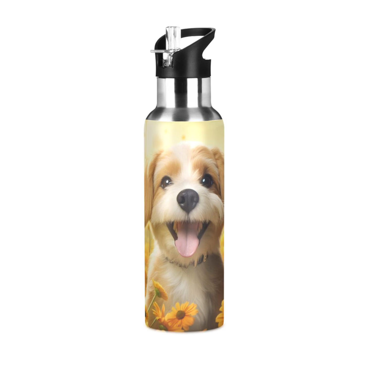 20 oz Insulated Stainless Steel Water Bottle with Straw Lid C684
