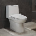 One-Piece Elongated Dual-Flush Toilet R867011