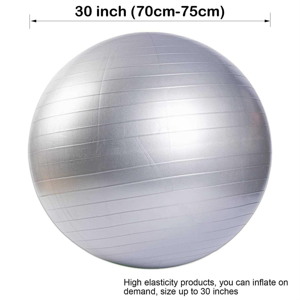 30 Inch Anti-Burst Horse Herding Ball with Pump W47309