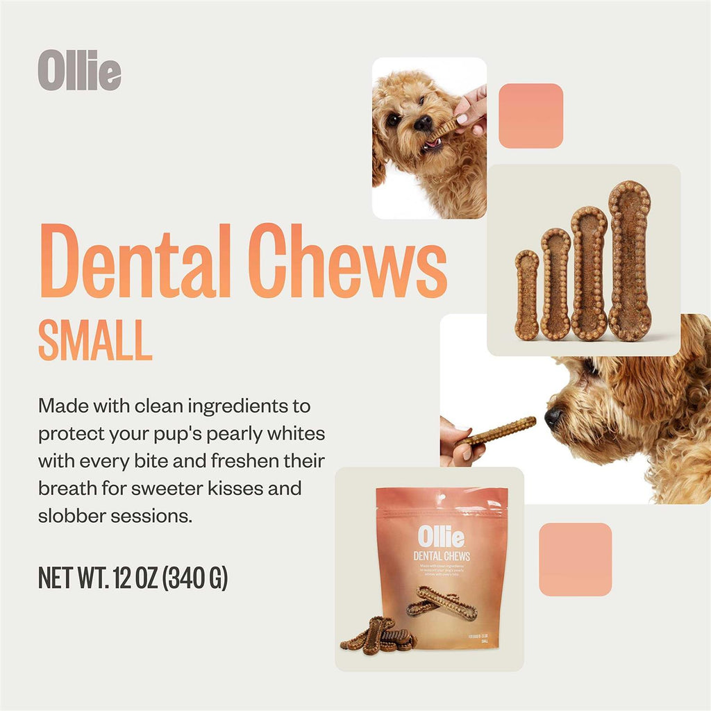 Dental Chews For Dogs S226