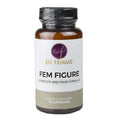 Fem Figure Supplement X30922