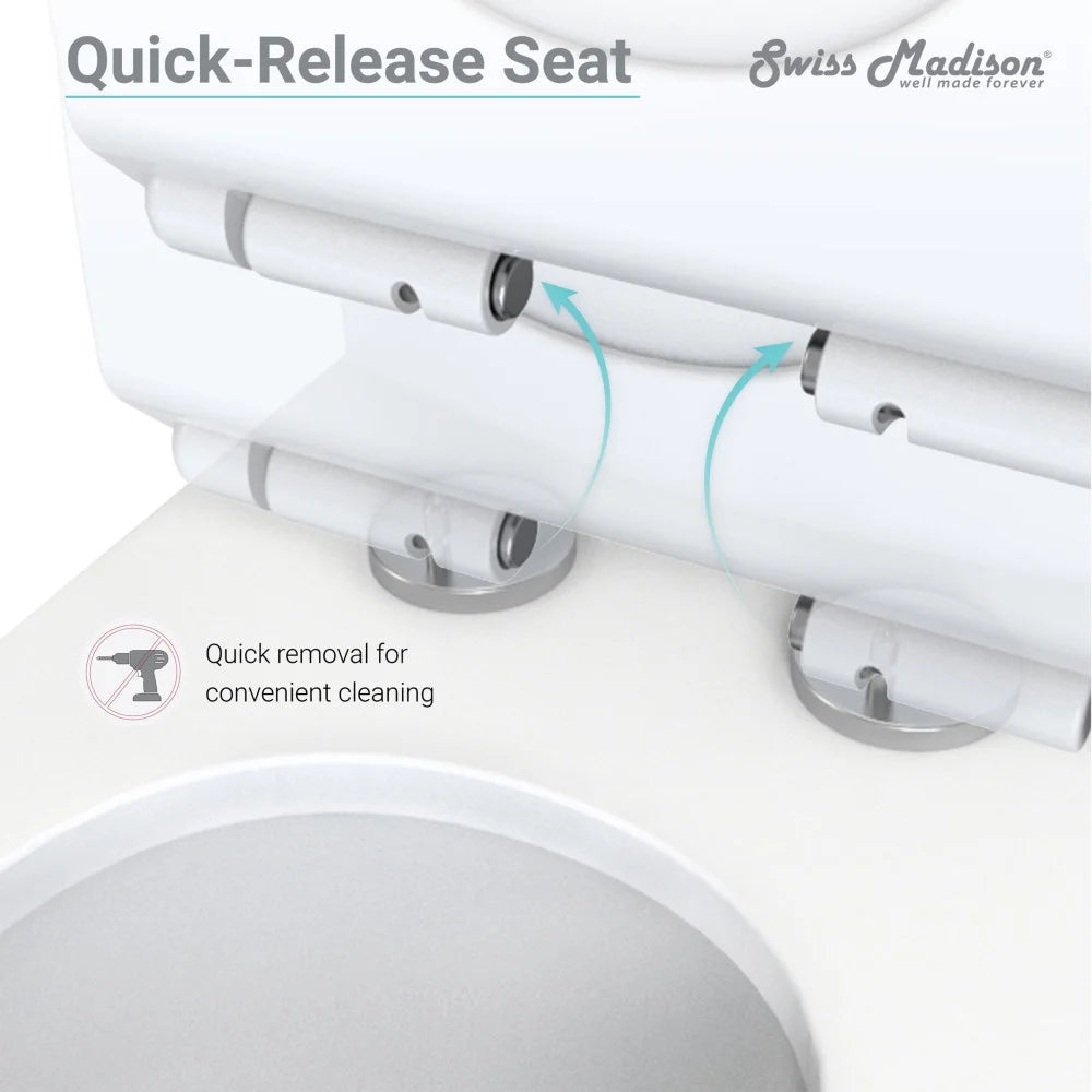 One-Piece Elongated Dual-Flush Toilet R867011