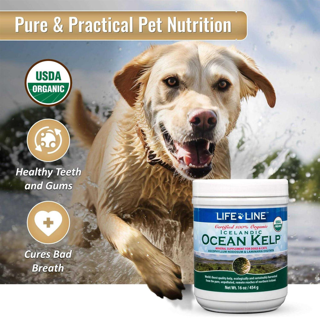 Ocean Kelp Dog & Cat Supplement L2991