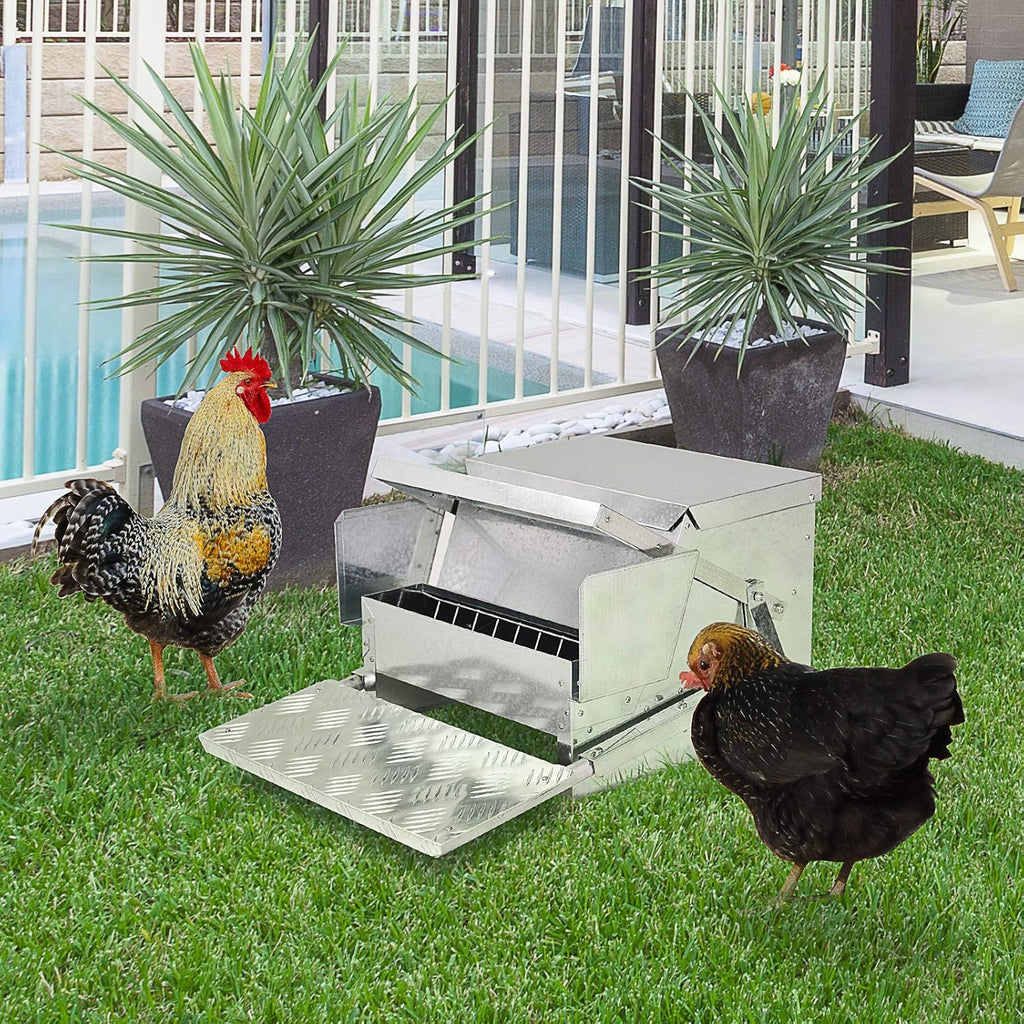 Automatic Chicken Poultry Feeder with Galvanized Steel and Aluminium Build Z57013