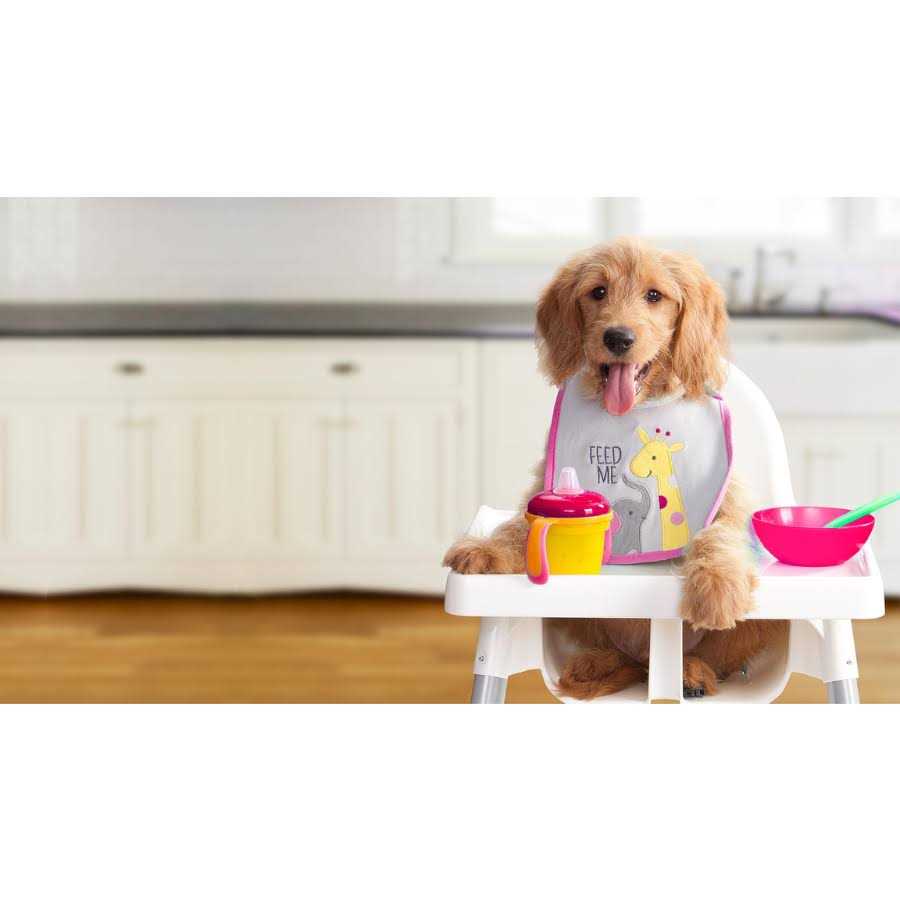 Dry Dog Food C7517